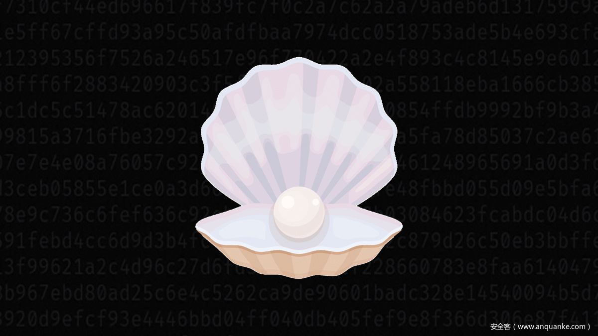 黑客劫持了Perl.com域名
