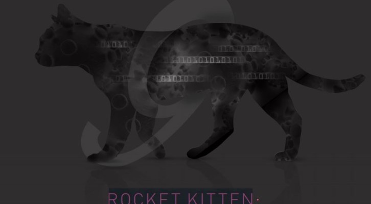 关于Rocket Kitten伊朗黑客成员的新看法