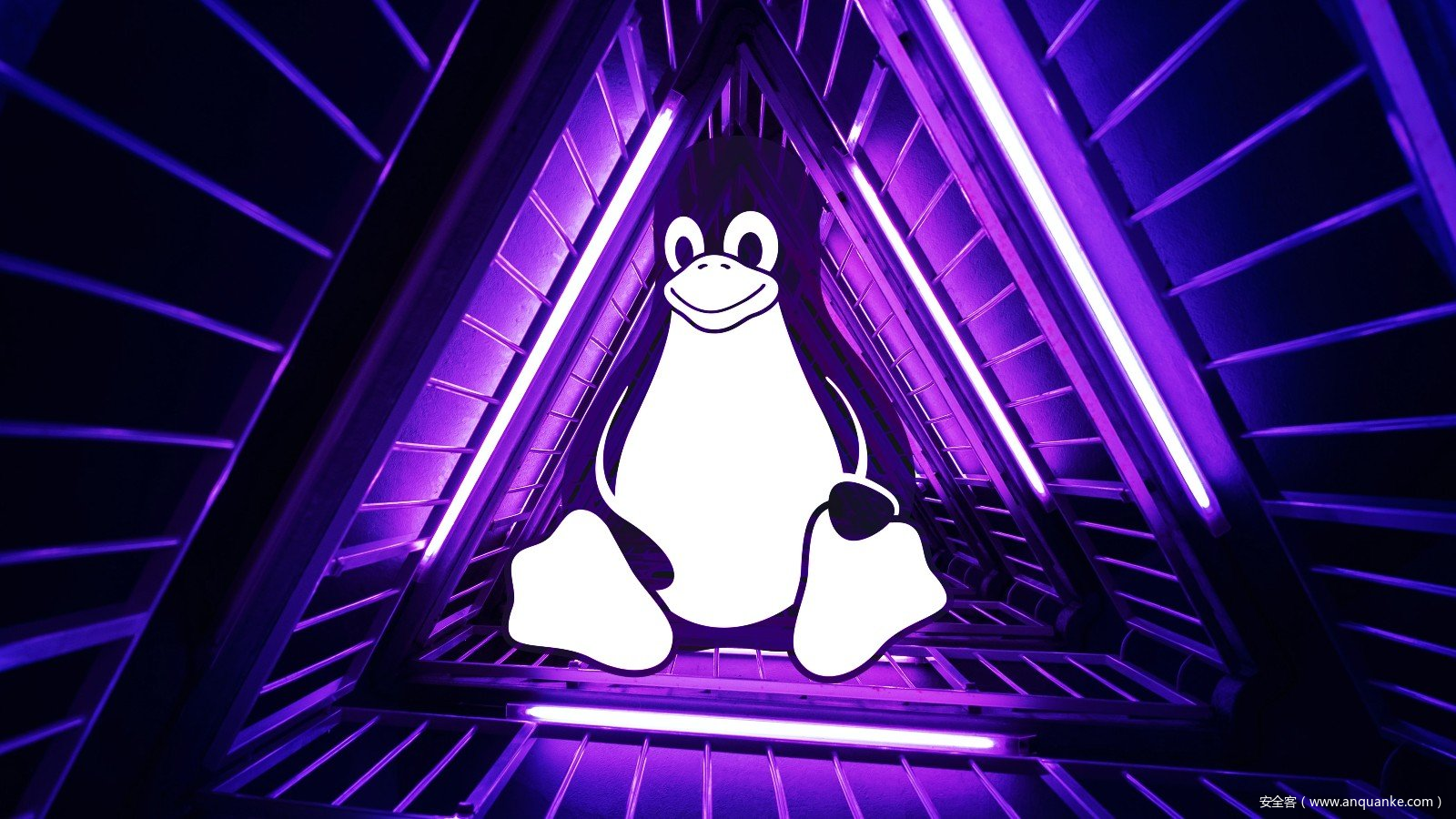 Linux被曝内核漏洞，攻击者可借此完全控制系统