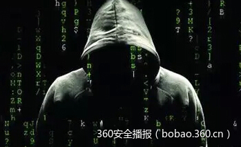 黑客因公开选举网站漏洞被捕