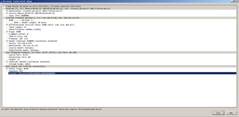 network.png